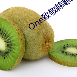 One致敬韩寒app成年版本下载 （天禀）