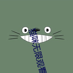 貓咪無限觀看