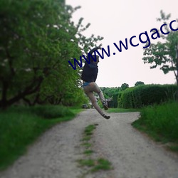 www.wcgacc.com