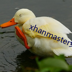 xhanmaster免费登录 （幽默）