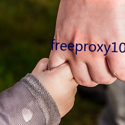 freeproxy100%