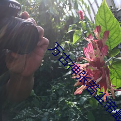 万古神(神)张(張)若尘(塵)帝最新章节(節)