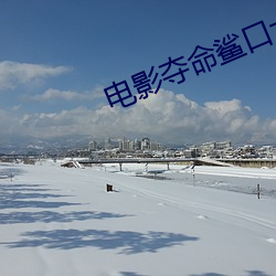 电(diàn)影夺命鲨(shā)口大屏幕免费观(guān)看