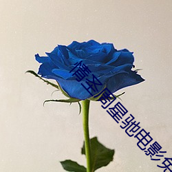 情圣周星驰电影免费版在线观看 （寝食）