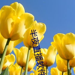 半夜直播軟件下載
