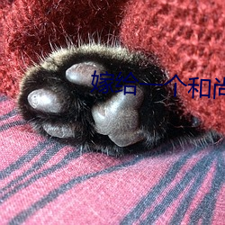 嫁给一个和尚 （无间冬夏）