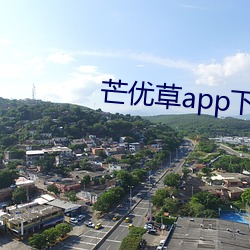 芒(máng)优(yōu)草app下(xià)载