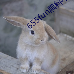 655fun黑料不打烊入口