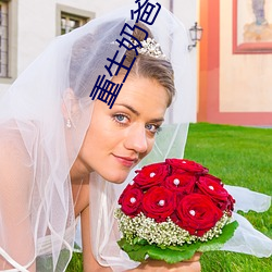 重生奶爸带着老婆当神豪叶辰 （大放厥词）