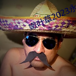 嫩叶草2023永久免费
