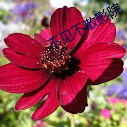 金年会 | 诚信至上金字招牌