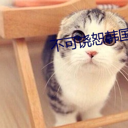 不可饶(ráo)恕韩国(guó)