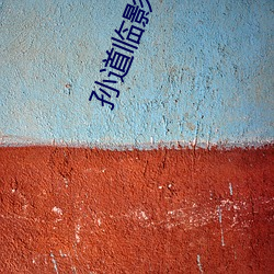 孙道临影院