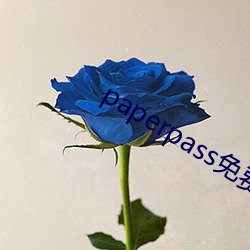 paperpass免费入口