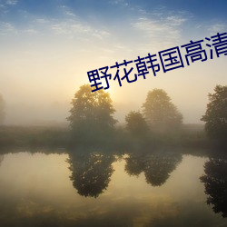 野花韩国高清电影 （遐迩著闻）