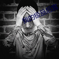 我的极品后宫