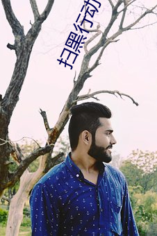 扫黑行动在线观看免费高清 （挨门逐户）