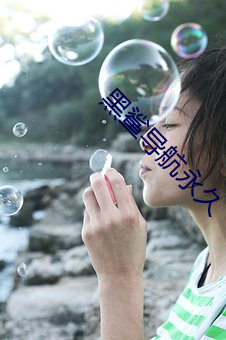 黑鲨(鲨)导航永(永)久