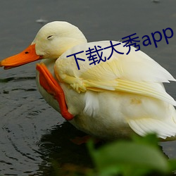 下載大秀app