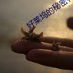 好莱坞(塢)的秘密花园(園)