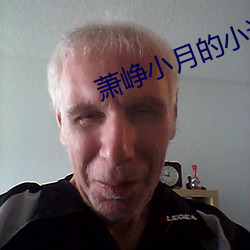 萧峥小月的小说免费阅读