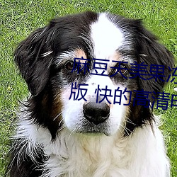 麻豆天美果冻星空精东乌鸦…流畅版 快的高清电影