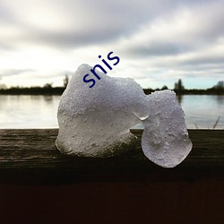 snis 񾭣