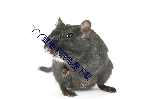 丫丫直播下载免费下载