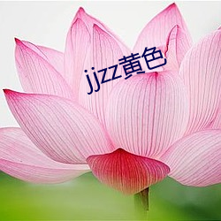 jjzz黄色 （省份）