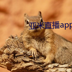 米直app 过目不忘）