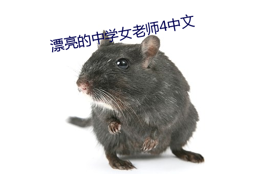 漂亮的中学女老师4中文 （精金美玉）