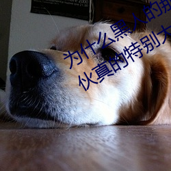 为什么黑人的那么长的原因 黑人的家伙真的特别大吗 （远客）