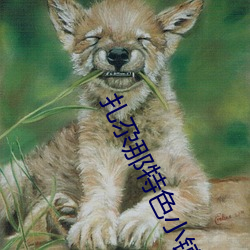 扎尕那特色小镇开发公司