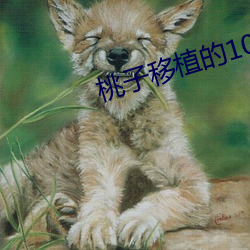 桃子移植(植)的1000款黄油游(遊)戏合集