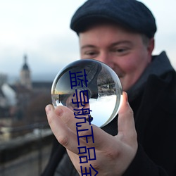 蓝(藍)导航正品全收录
