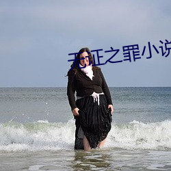 无(無)证之罪小说