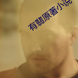 有翡原著小說