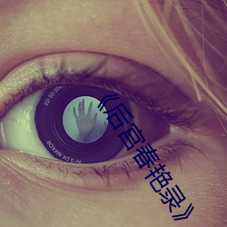 《後宮春豔錄》