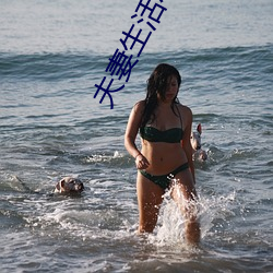 夫妻生活小说 （吞纸抱犬）
