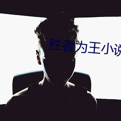 勝者爲王小說