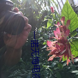 一诺(nuò)无悔电视剧(jù)全集在(zài)线观