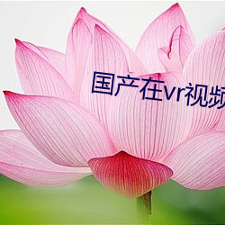 凯时|AG(AsiaGaming)优质运营商