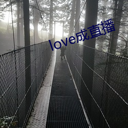 love成直播