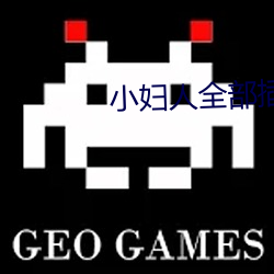 小妇人全部插