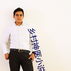 乡村神医小说 （岩羊）