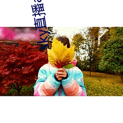 sky直播app入口 （木棉）