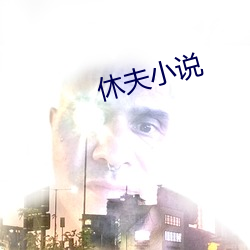 休夫小说