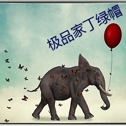 極品家丁綠帽
