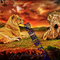 趣播直播(播)下下载安装