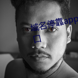 域名停靠app大全免费下载网站入口 （白首为郎）